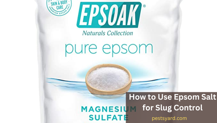 How to Use Epsom Salt for Slug Control