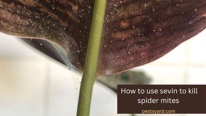 does sevin spray kill spider mites