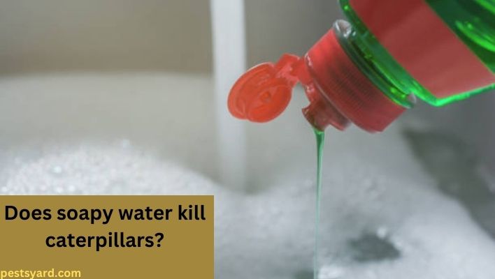 does soapy water kill caterpillars
