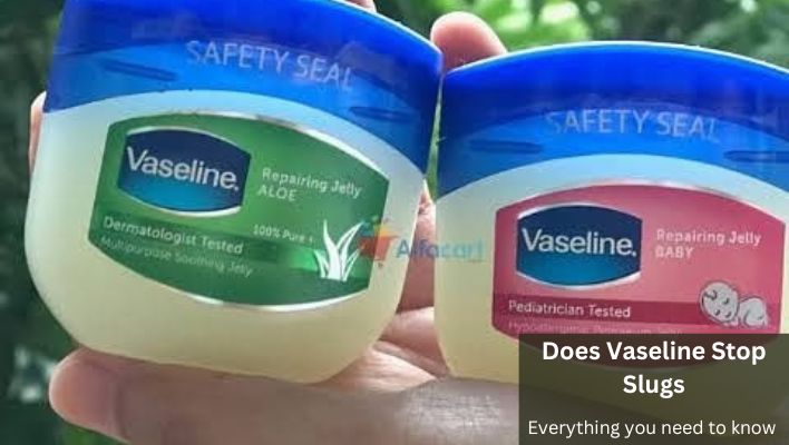 Does Vaseline Stop Slugs