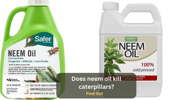 Does neem oil kill caterpillars?