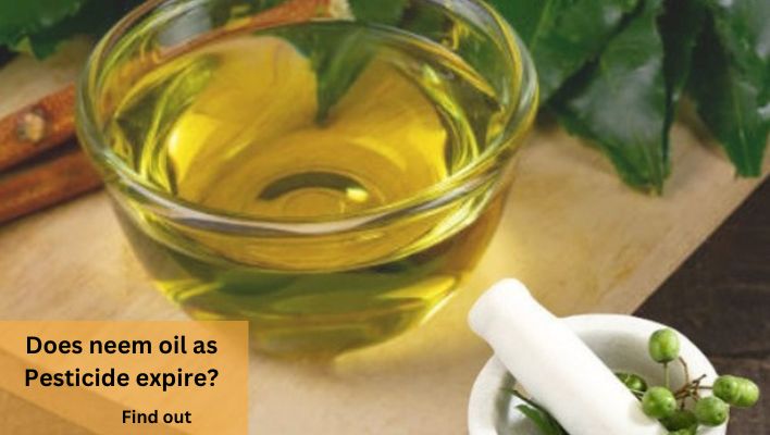 Does neem oil expire