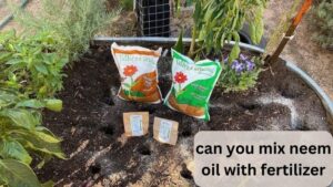 can you mix neem oil with fertilizer