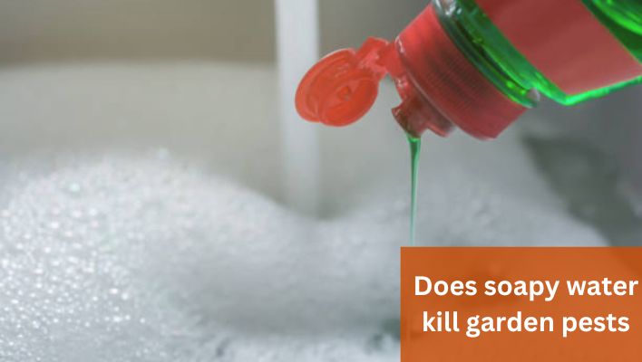 Does soapy water kill garden pests