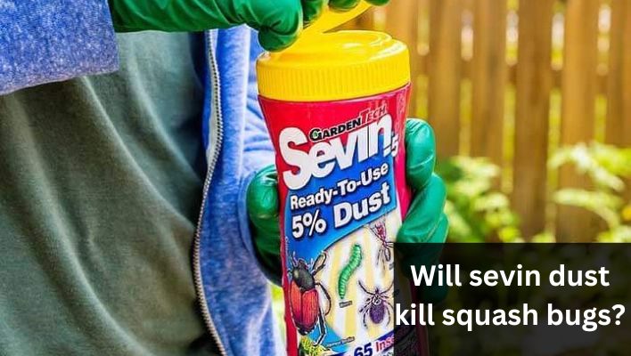 Will sevin dust kill squash bugs