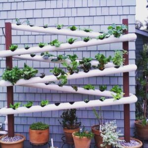 Is PVC safe for hydroponics system?