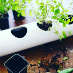 Is PVC safe for hydroponics?