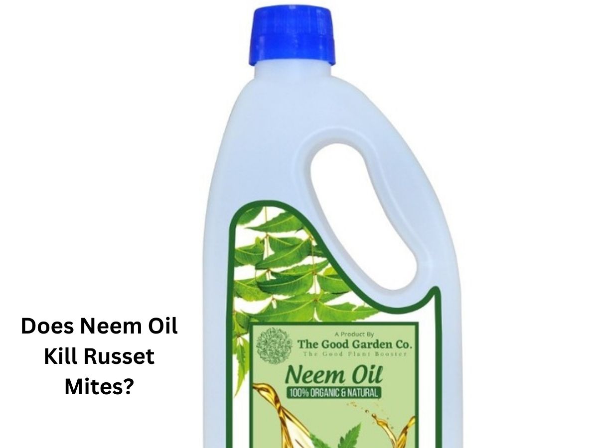 Does Neem Oil Kill Russet Mites?