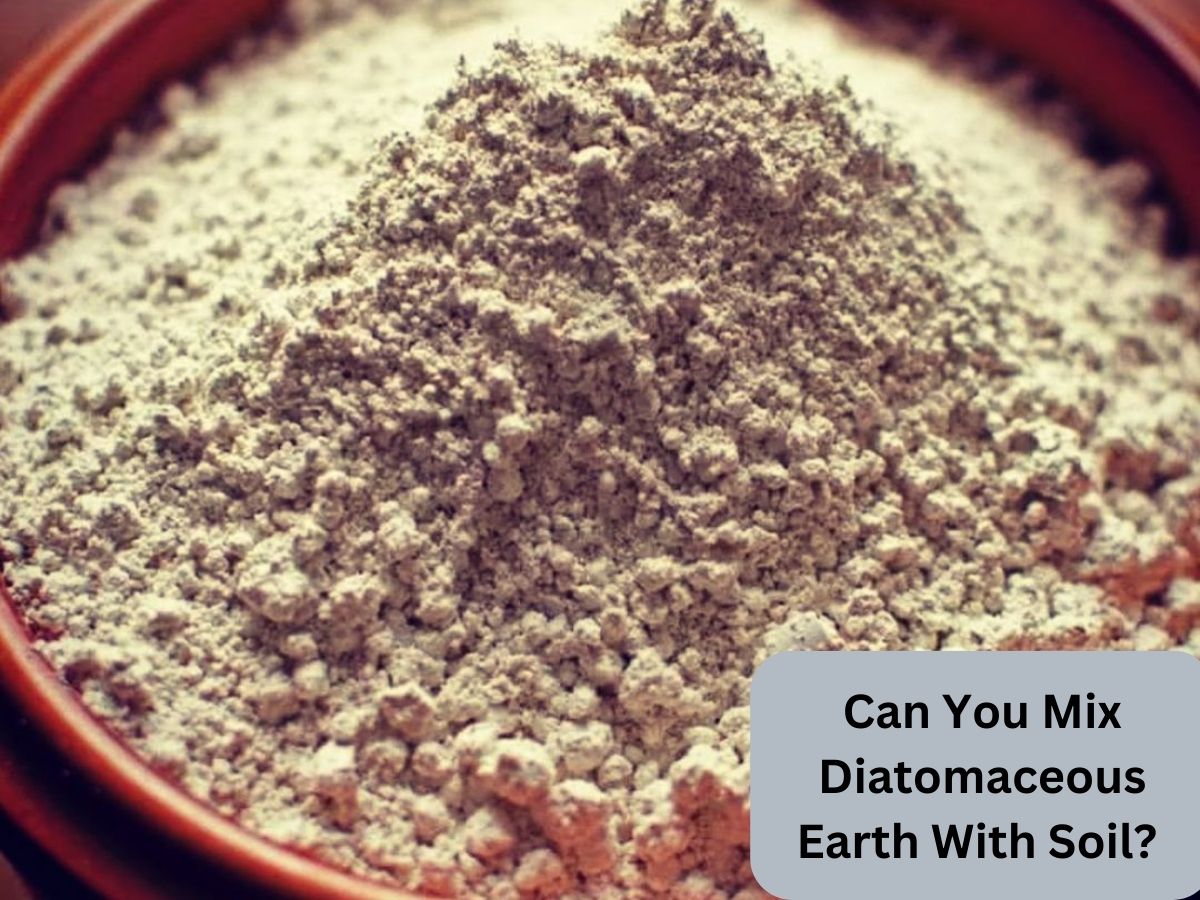 Can You Mix Diatomaceous Earth With Soil?