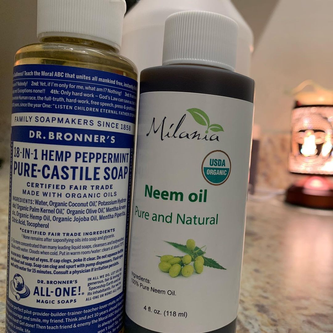 horticultural oil vs neem oil