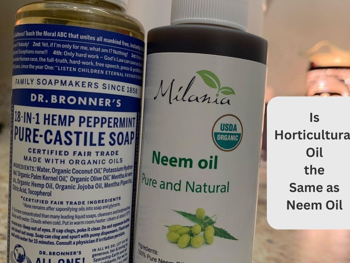 is horticultural oil the same as neem oil