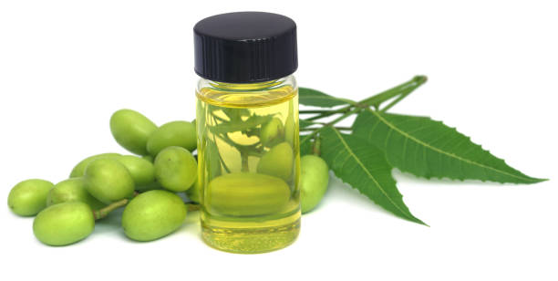 pure neem oil extract 